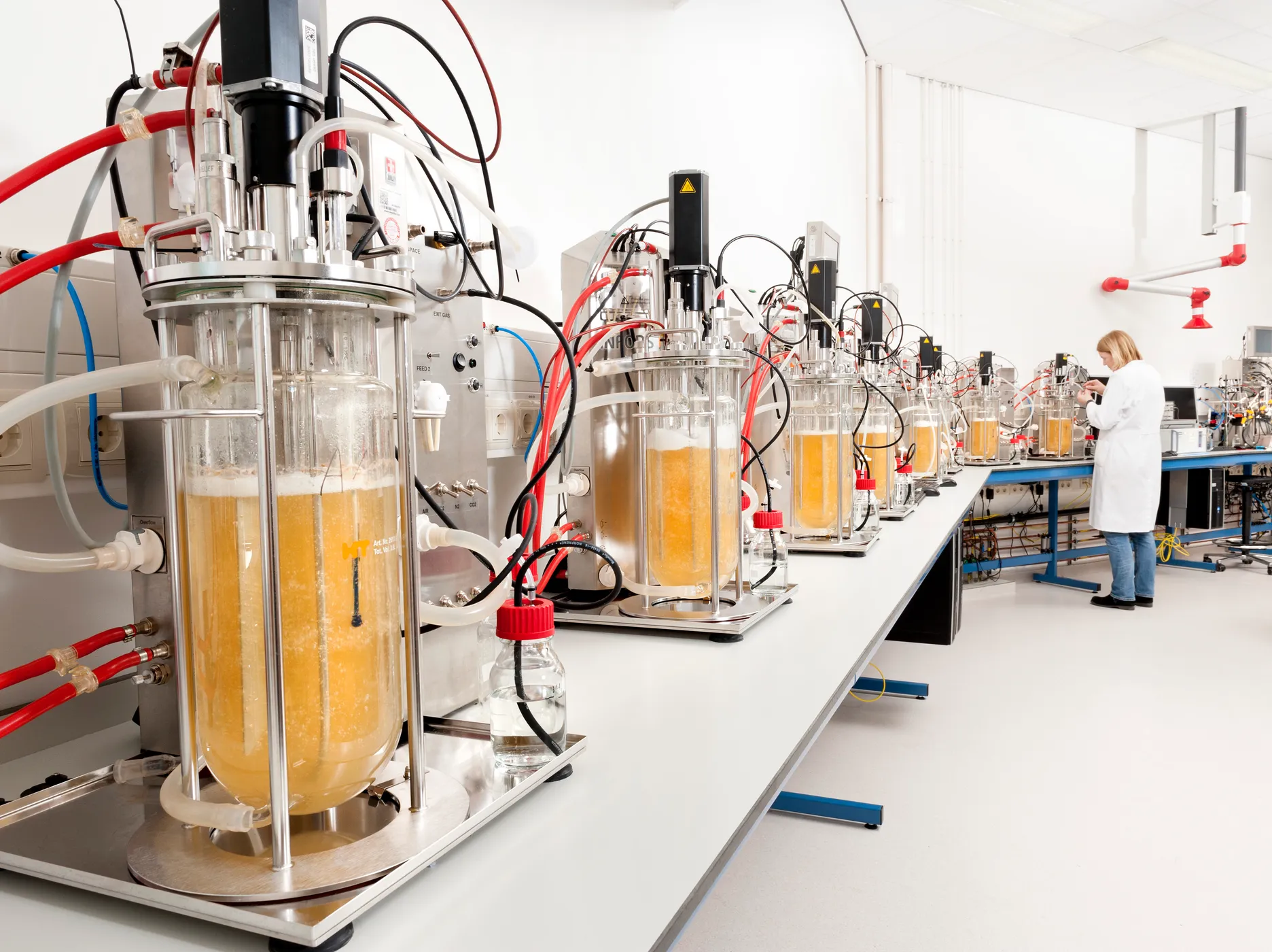 Fermentatie: wat investeerders moeten weten over deze technologie