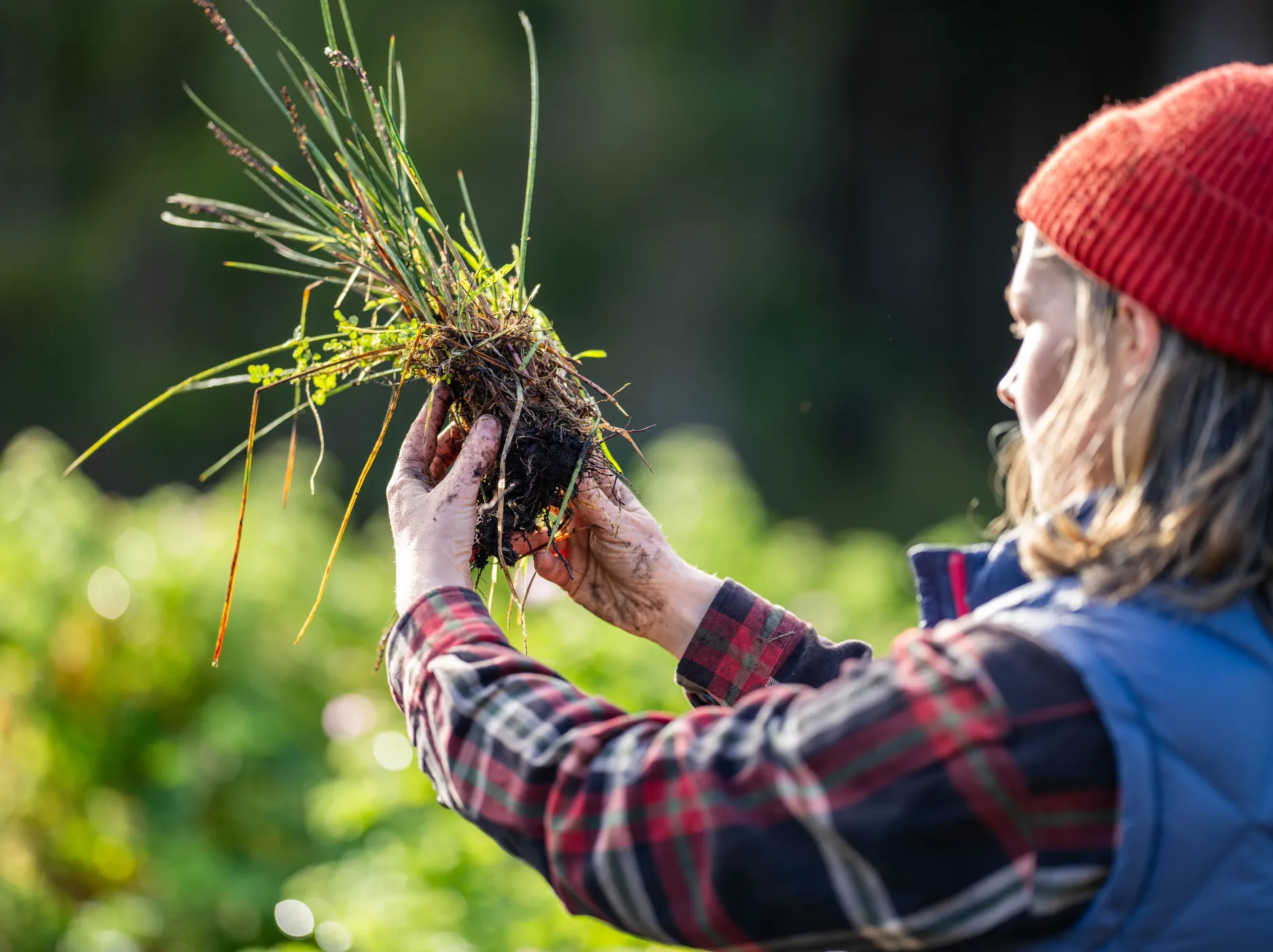 Gezondheid als verdienmodel voor regeneratieve landbouw