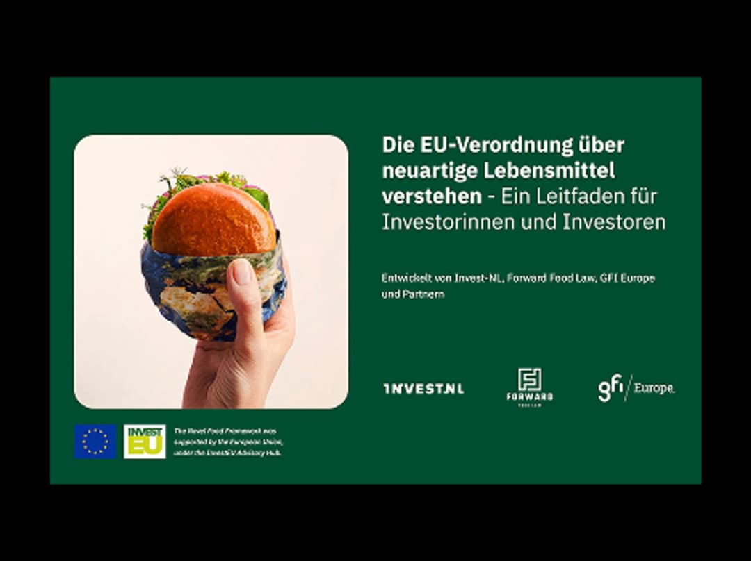 Deutsch - EU Novel Food Investor Framework