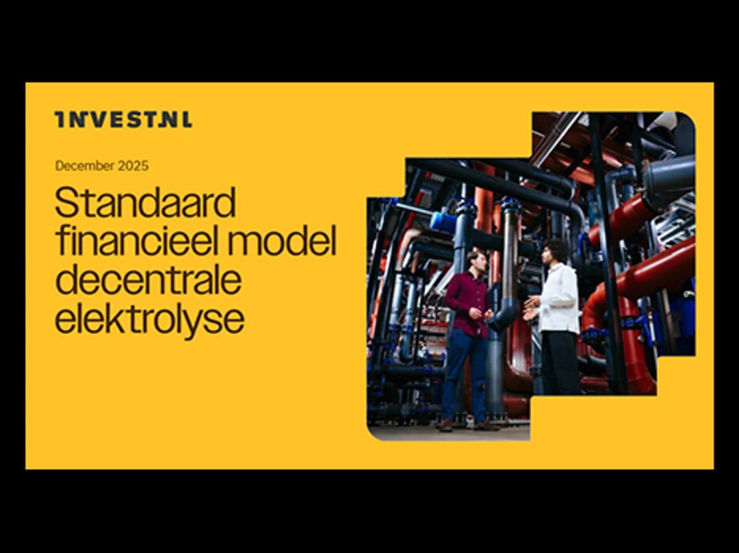 Standaard financieel model decentrale elektrolyse
