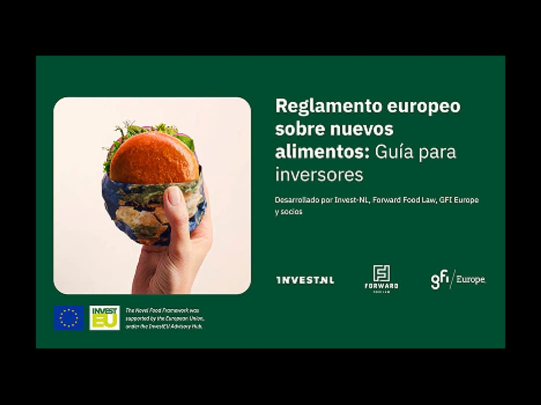Español - EU Novel Food Investor Framework